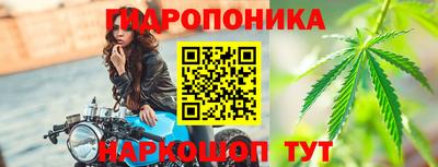 СК Можга